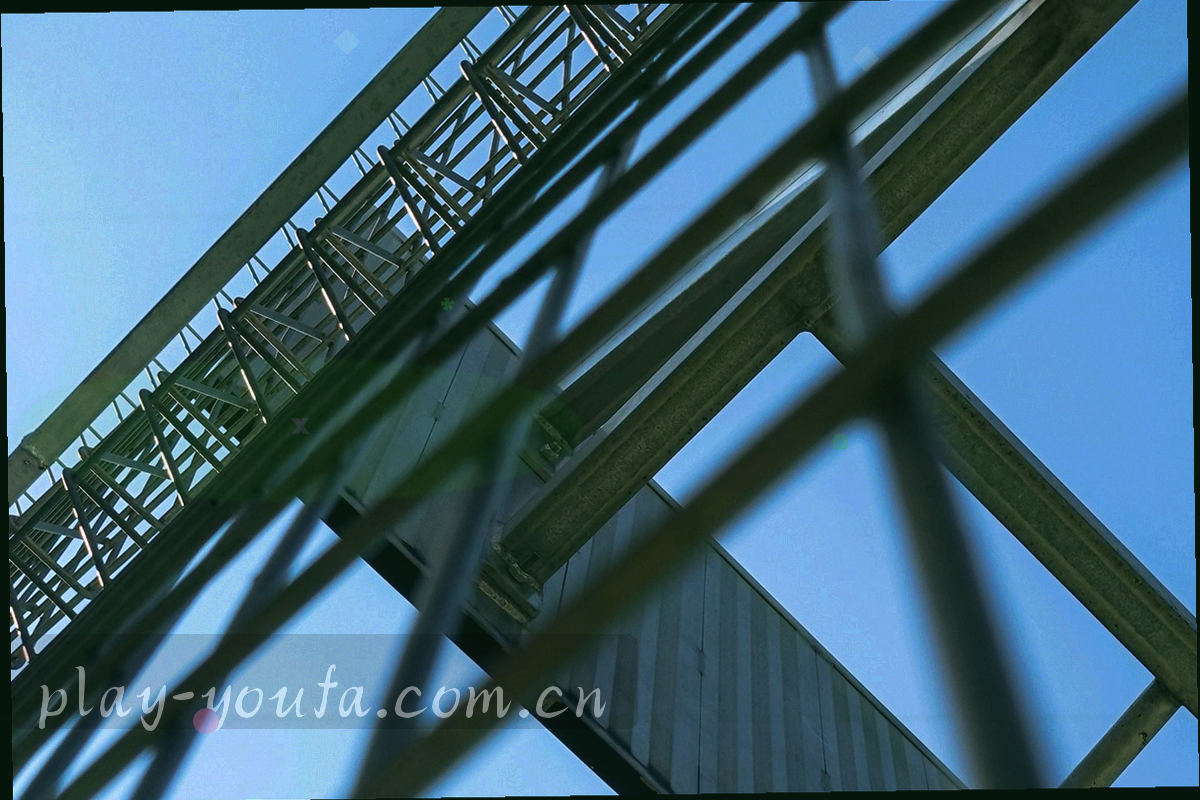 青色线条连接的决策节点示意图，分别指向新手、回归、换机与联系客服四个方向